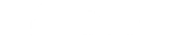 heliotics logo